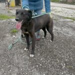 487738191 1066766725481141 8242569437428782284 n