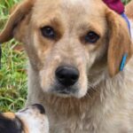 487977534 1063656185792195 3839411525026765709 n