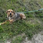 488658512 1066971245460689 5987397495165557675 n