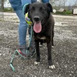 489926516 1066766622147818 220675947735695334 n