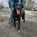 489927166 1066766982147782 378735490795885975 n