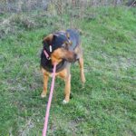 489928155 1064018725755941 1510543223153851656 n