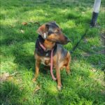 490094567 1064018109089336 4229673936573861713 n