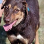 490114981 1064772859013861 5741854067748185571 n