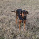 490117234 1064019212422559 3397348770744096748 n