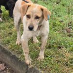 490319934 1063655605792253 3467650940407525542 n