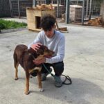 490414528 1064772182347262 1631337230656671342 n