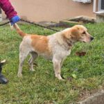 490416068 1063655712458909 4206813782728800192 n