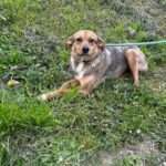 490535331 1066970265460787 7161769429873457429 n