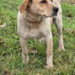 490551087 1063656269125520 7412615766965206925 n