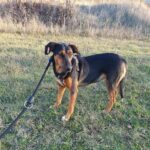 490726942 1064019889089158 7861736169288775307 n