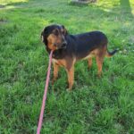 491009718 1064019875755826 5292462976976474064 n