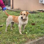 491292398 1063655165792297 6263826574785284341 n