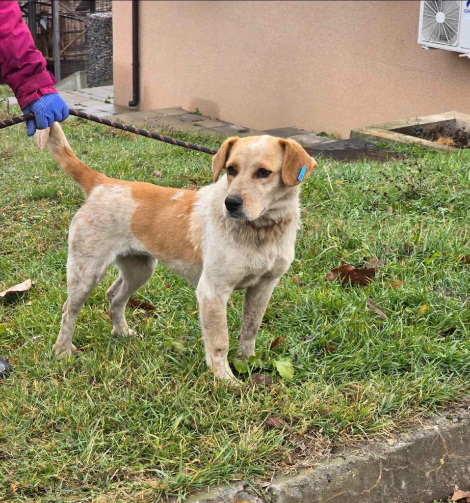 491292398 1063655165792297 6263826574785284341 n