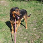 491354666 1064017955756018 1018309531917937234 n