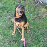 491360940 1064017739089373 8462569460515714706 n