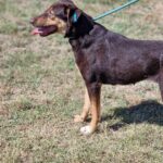 491800128 1064772845680529 7888919454376300 n