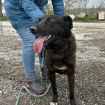 491804831 1066766895481124 861523262302675214 n