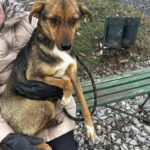 491953193 1070327595125054 124339905362069031 n