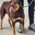 491967038 1064772739013873 6445610558309681645 n