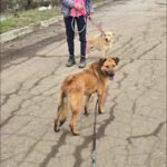 492227716 1071500831674397 7078051524347872839 n