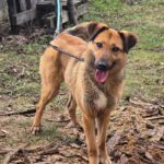 492771178 1071501231674357 4810589427596267059 n