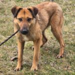 492826412 1071500845007729 1575719830726001192 n