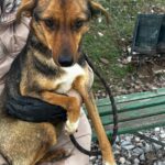 492996839 1070325191791961 5729940360350629258 n