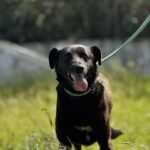 493048526 1103032751854538 325595988231315040 n