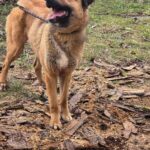 493056683 1071502378340909 8833824137798905133 n