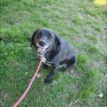 493067893 1075624847928662 2197569741822187858 n