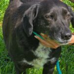 493094651 1089502466540900 3018646038427859435 n