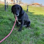 493308040 1075626171261863 608799720706514020 n