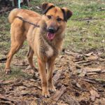 493396432 1071504858340661 8022156398262942570 n