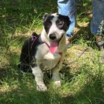 493574618 1110068144484332 5301506337902334947 n