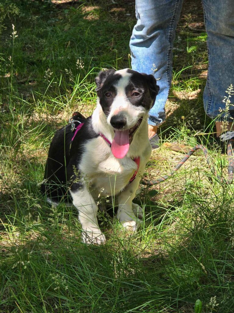 493574618 1110068144484332 5301506337902334947 n