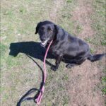 493689142 1075626021261878 7798544493274992342 n