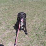 494309481 1075624994595314 7595666373429365860 n