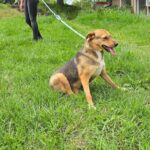 495150494 1101521518672328 5439269591743919296 n