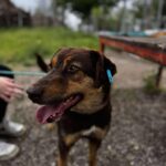 495224550 1097215379102942 9123998227098575850 n