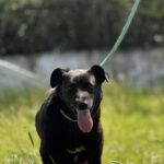 495278320 1103032735187873 887211880384551928 n