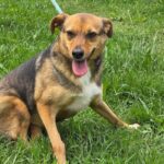 495367651 1101521285339018 4884502927557847719 n