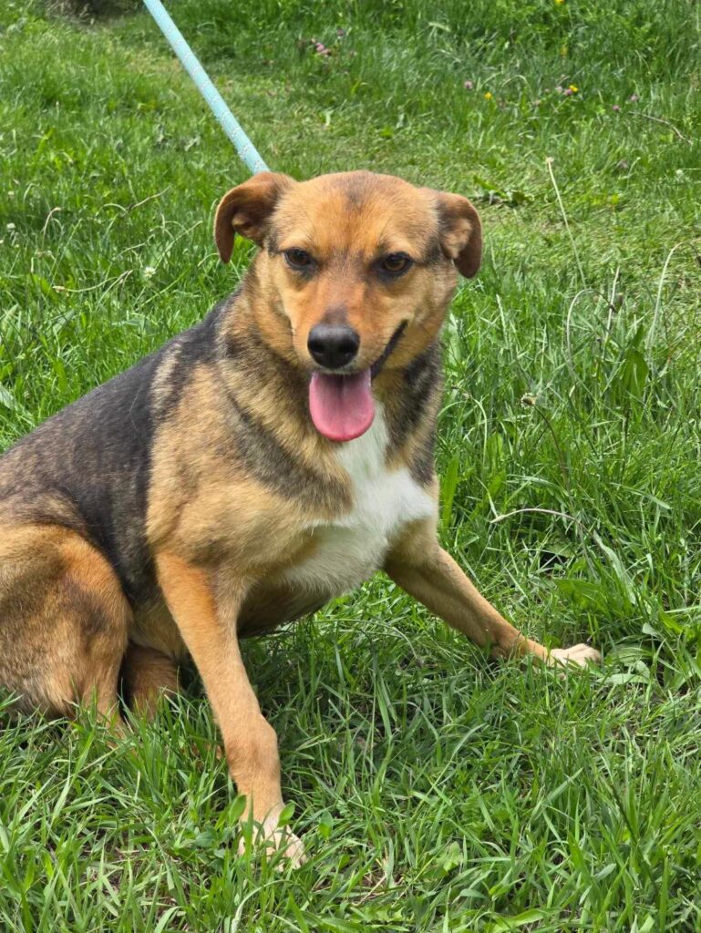 495367651 1101521285339018 4884502927557847719 n