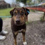 495711669 1097215372436276 6089040631872005787 n