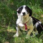 499521223 1110067984484348 4992235062035062688 n