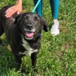 499679983 1089502459874234 385487131871539346 n