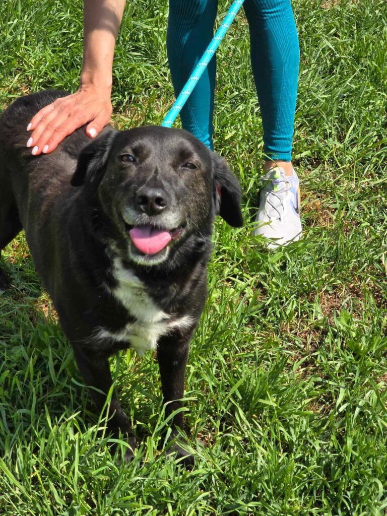 499679983 1089502459874234 385487131871539346 n