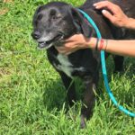 499715041 1089502476540899 2094064484859604971 n