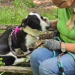 500059779 1110067991151014 6794491670638087233 n