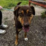 500263623 1097215375769609 6451589465185346087 n